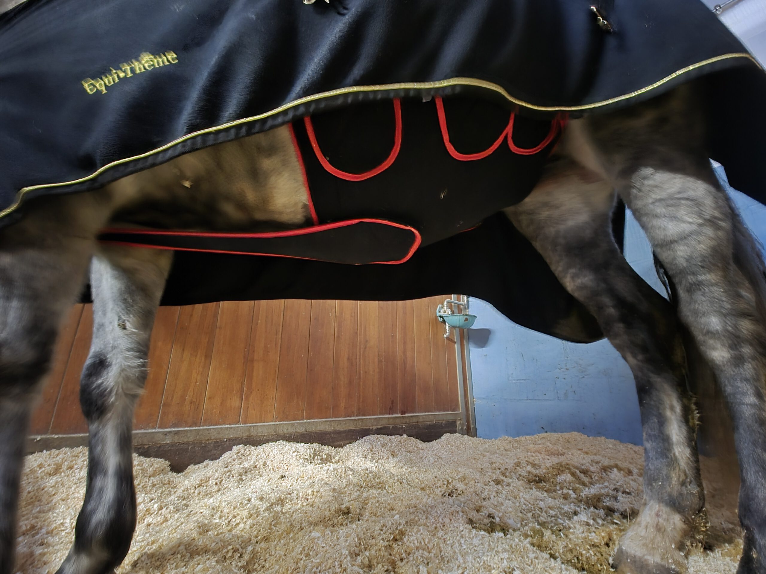 20251119 152551 scaled