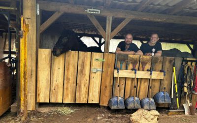 Werde Teil unseres Projektteams auf dem Gnadenhöfle e.V. Müllheim! 🛠️🐴