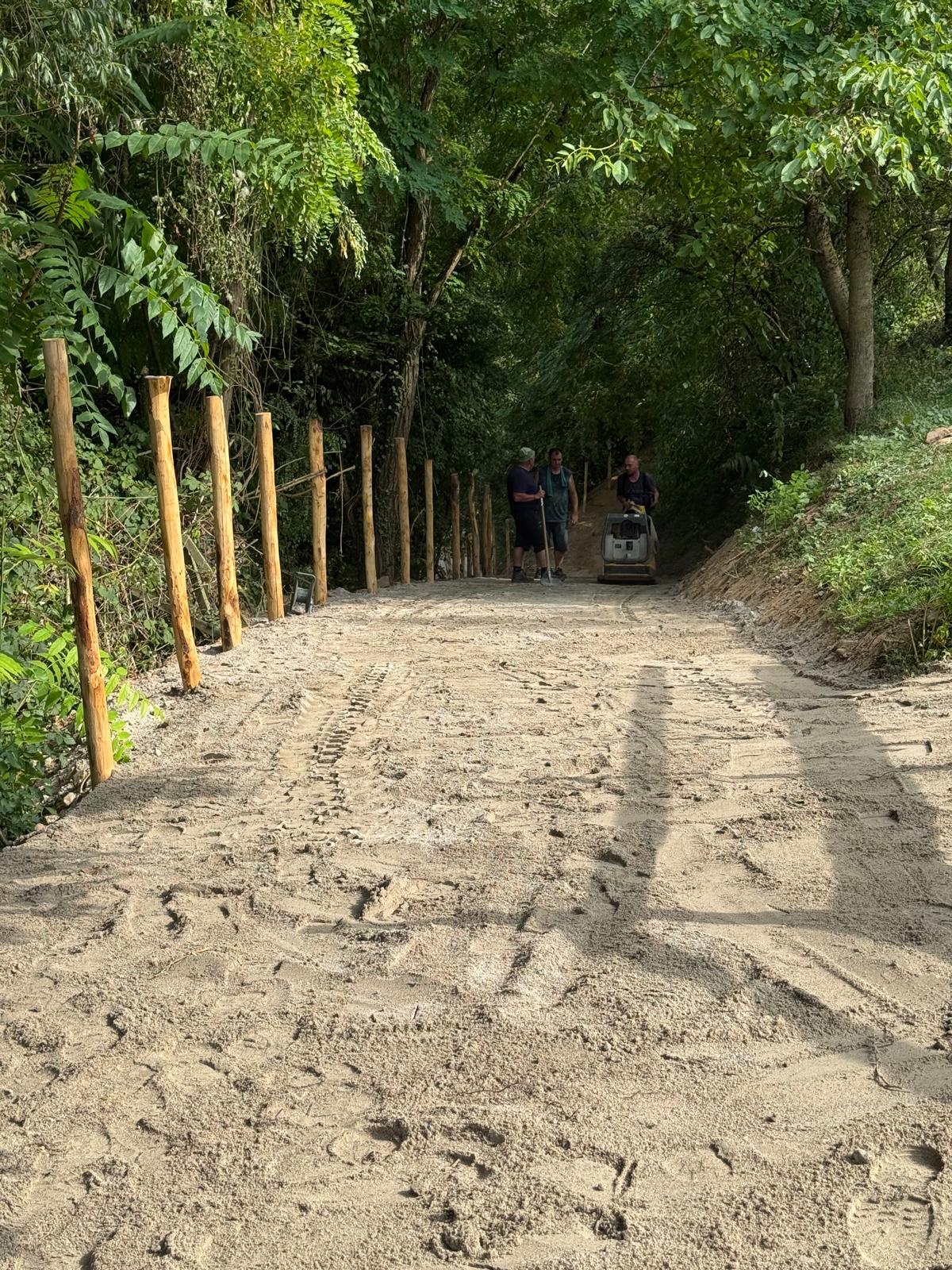 Paddocktrail