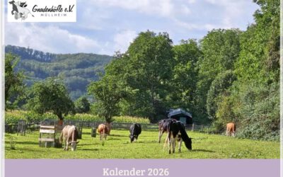 Gnadenhöfle Kalender 2026