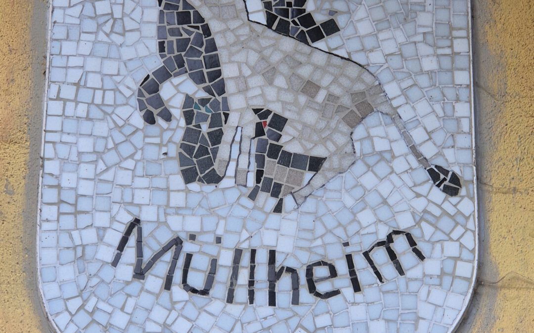 🌟 Heute haben wir zwei wichtige Updates für euch – eines voller Dankbarkeit, eines voller Hoffnung 🌟