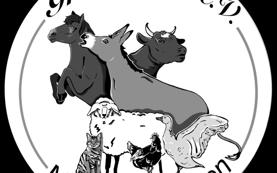 Newsletter Gnadenhöfle