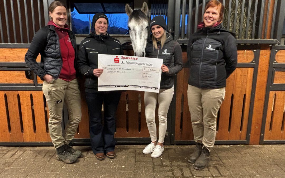 🐴❤️ Angel – ein Weg zurück ins Leben, endlich Zuhause❤️🐴