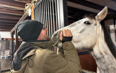🐴 Angel – Tagesupdate 12 | Zwischen Sorge & Hoffnung – und einem Team, das niemals aufgibt ❤️
