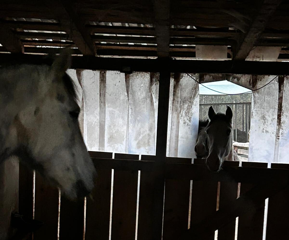 IMG 20251216 WA0009 e1765956957591