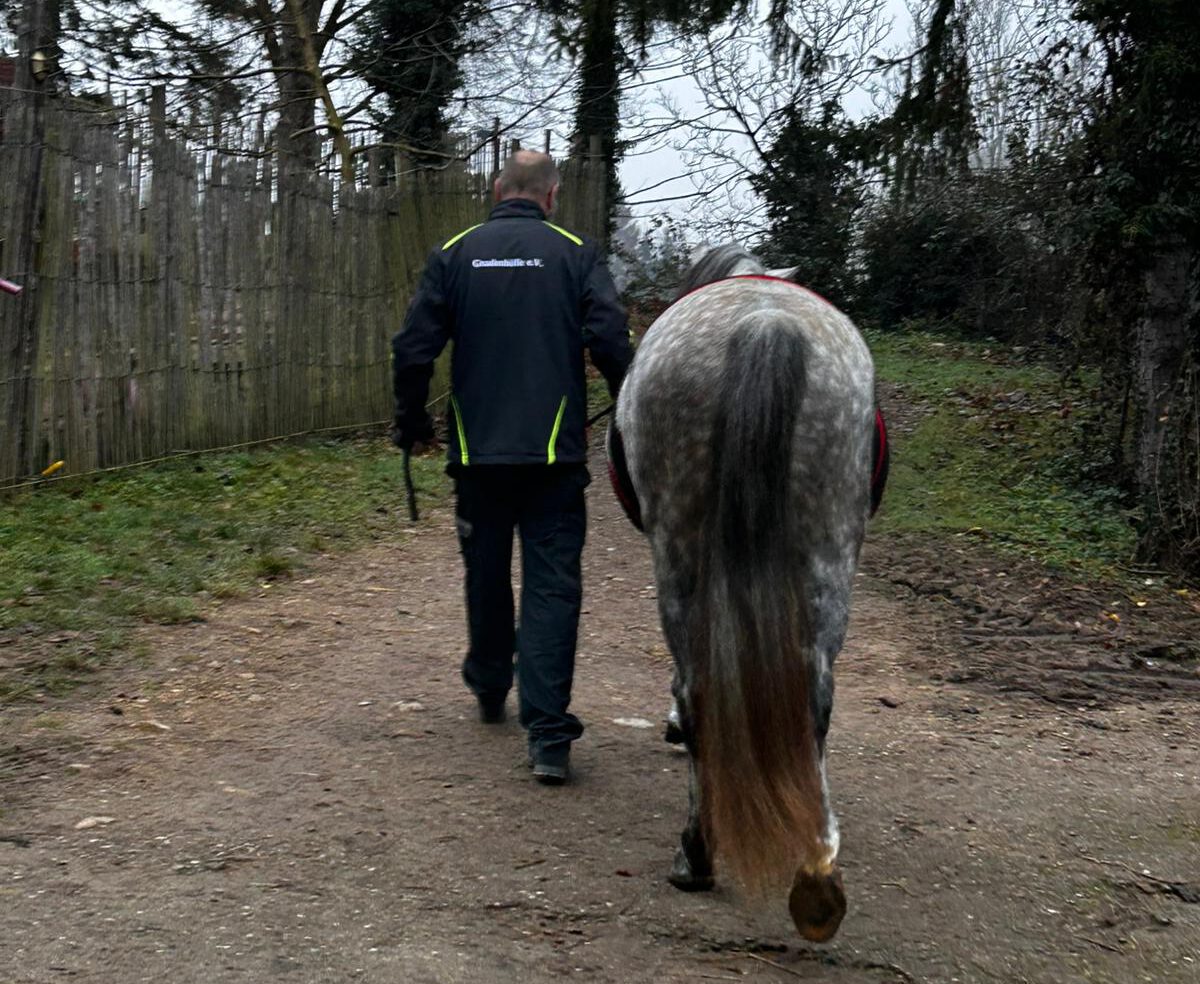 IMG 20251216 WA0011 e1765956907907