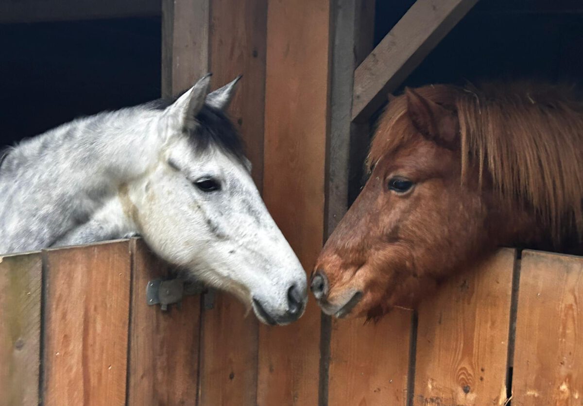 IMG 20251216 WA0012 e1765956876956