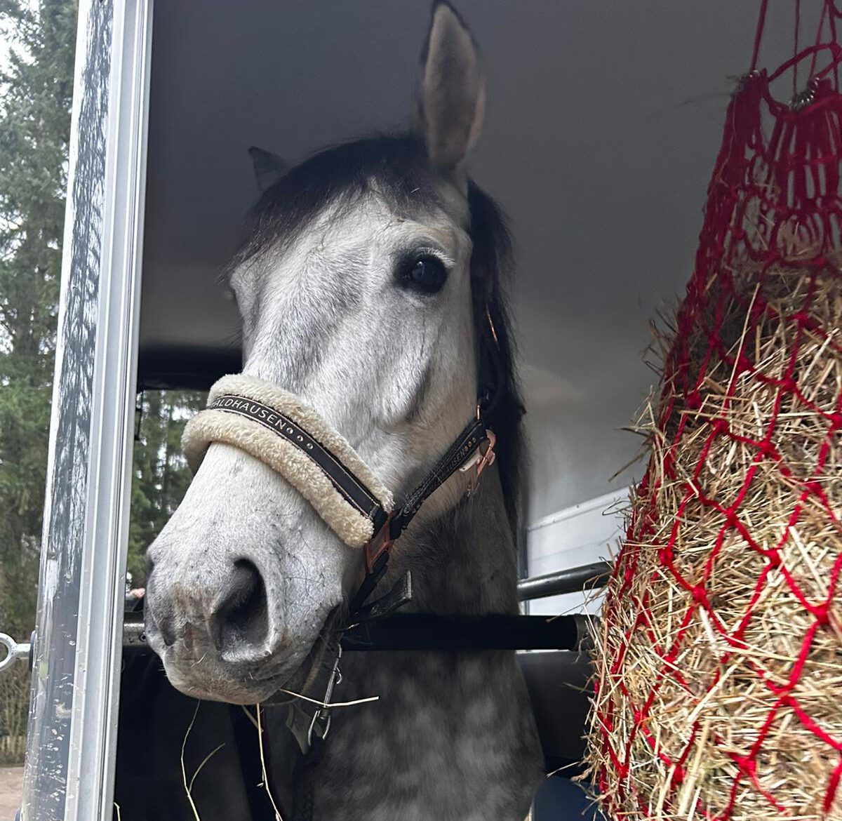 IMG 20251216 WA0013 e1765956800586