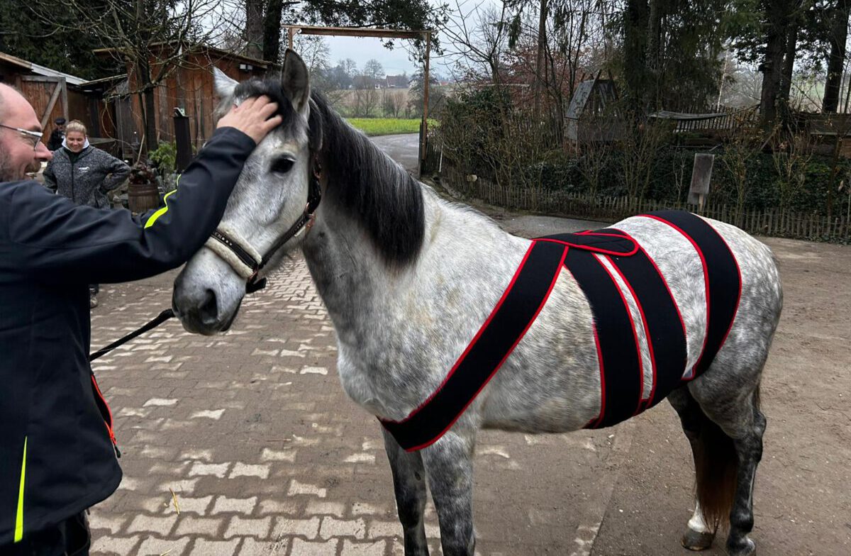 IMG 20251216 WA0014 e1765956838619