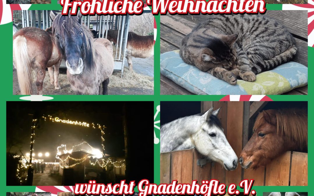 🌿 Jahresrückblick – Was bleibt, seid ihr 🌿