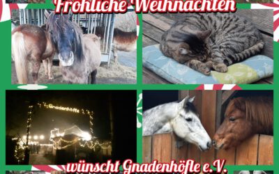 🌿 Jahresrückblick – Was bleibt, seid ihr 🌿