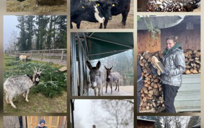 🌿 Wochenende voller Leben, Abschied und Hoffnung auf unserem Gnadenhöfle 🌿