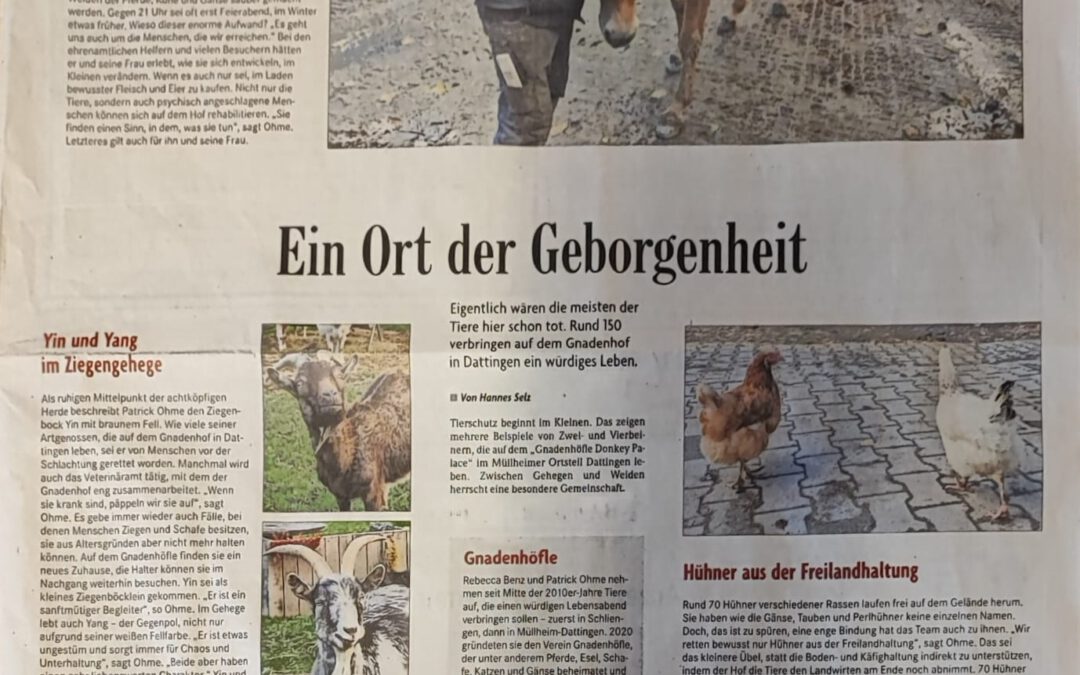 Ein Ort der Geborgenheit 🐾