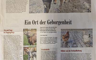 Ein Ort der Geborgenheit 🐾