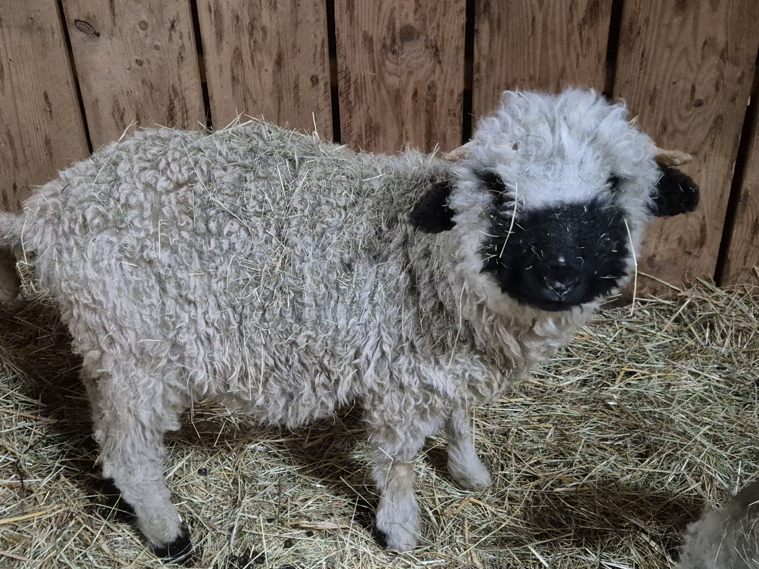 20260225 135614 scaled