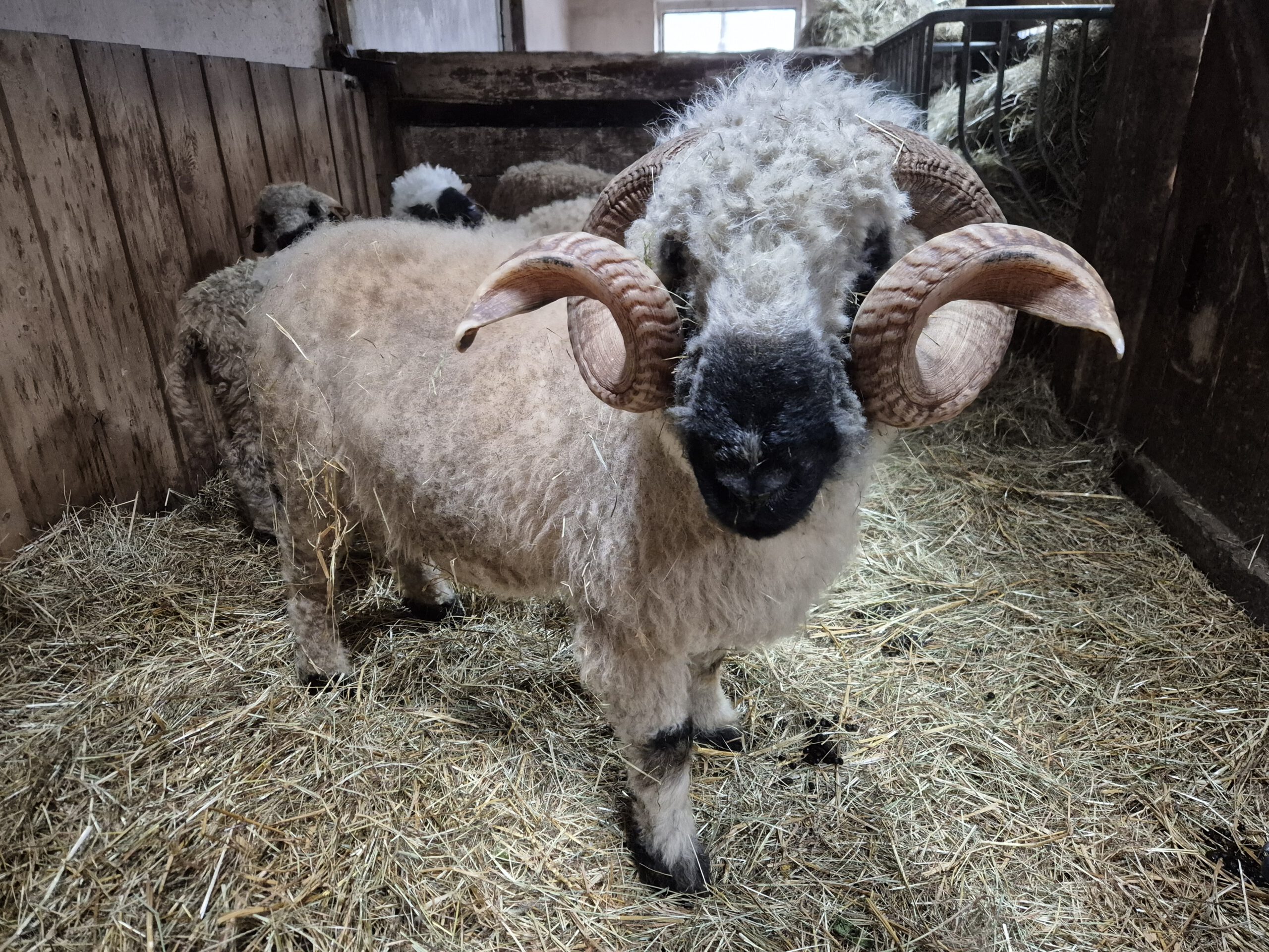 20260225 135655 scaled