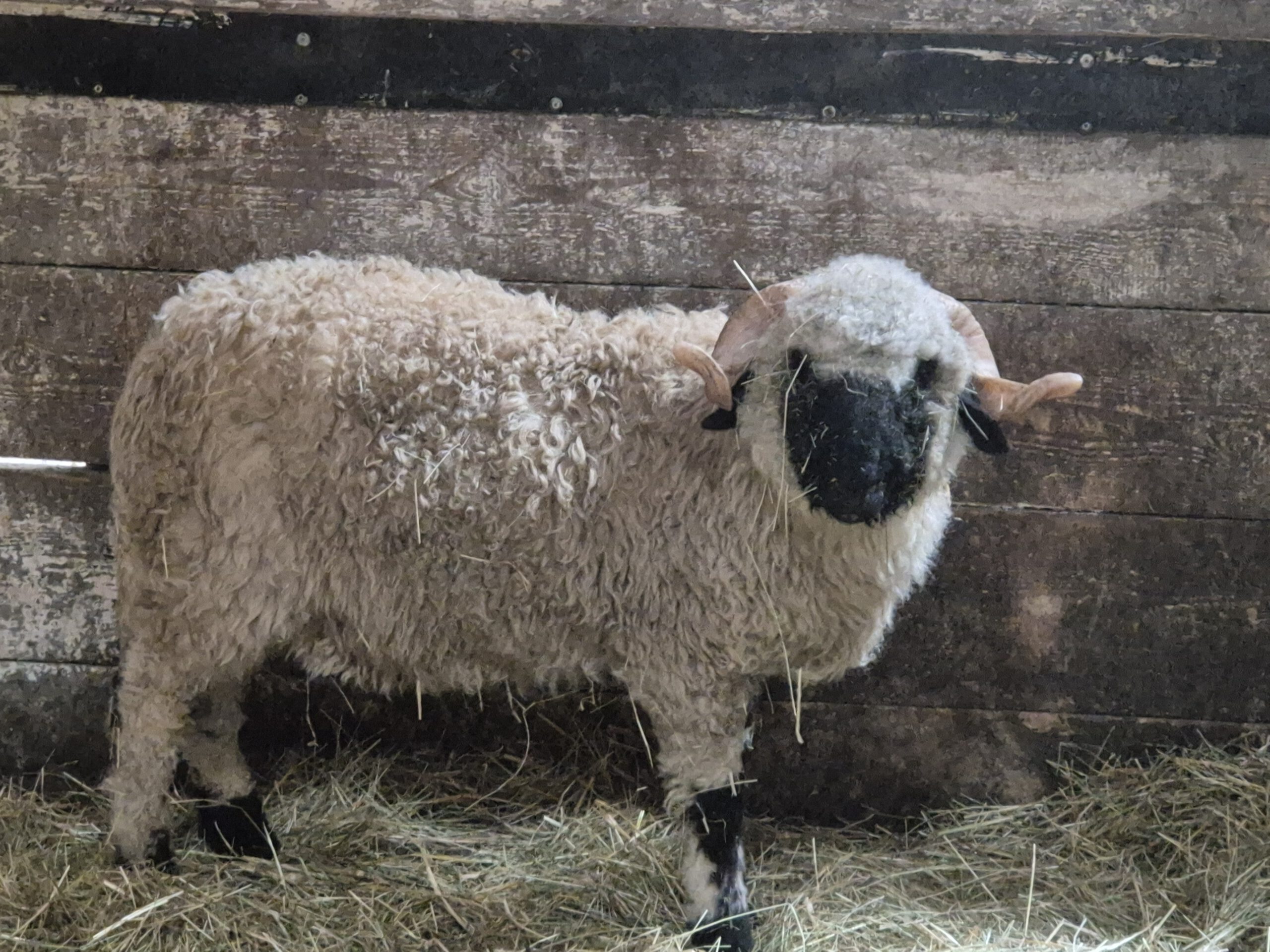 20260225 135722 scaled