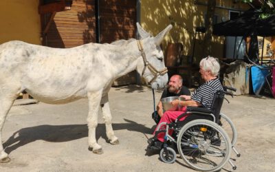 🌿 Winterpause endet – Besuchstermine starten wieder 🌿