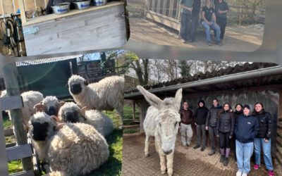 🌿 Monatsrückblick März – Gnadenhöfle e.V. 🐾