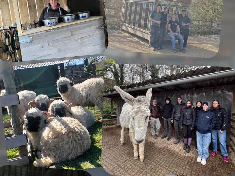 🌿 Monatsrückblick März – Gnadenhöfle e.V. 🐾