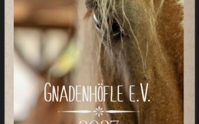Ein Jahr Gnadenhöfle – unsere Kalender 2027 sind da! ❤️🐾