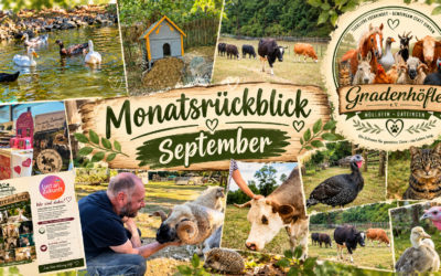 🐾 Monatsrückblick September – Zeit zum Durchatmen